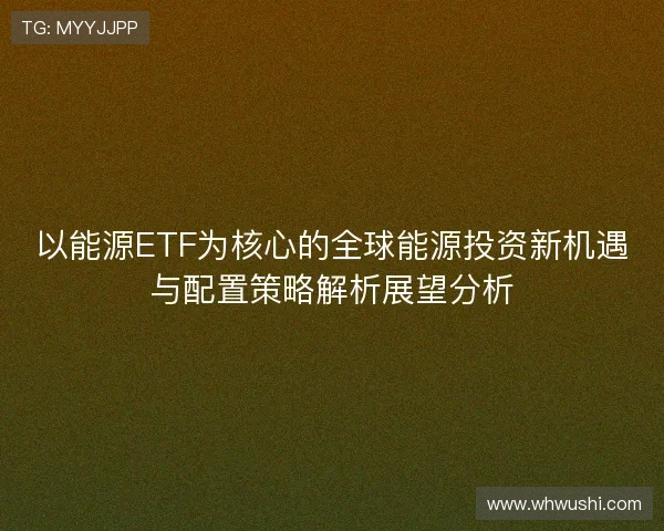 以能源ETF为核心的全球能源投资新机遇与配置策略解析展望分析